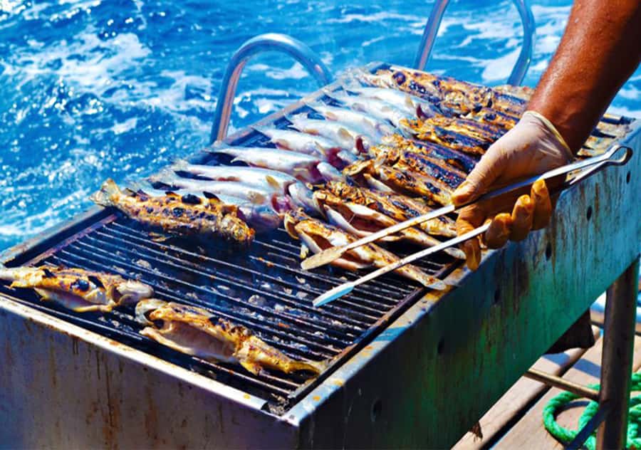 Agadir: Boat Trip with Fishing, Swimming, and BBQ Lunch - Who Should Book This (and Who Might Want Something Else)