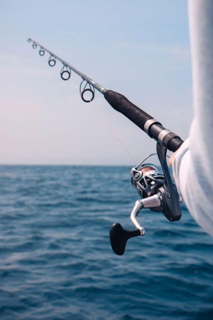 Alanya: Fishing Tour with Equipment and Lunch - Target fish in Alanya: what you might catch (and what you should know)