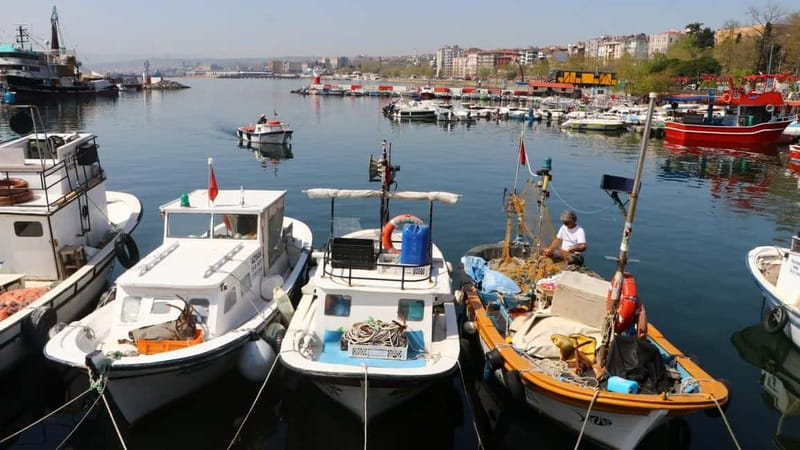 Alanya: Fishing Tour with Lunch and Hotel Transfers - Fishing in Open Sea: What You’ll Actually Do With the Included Gear