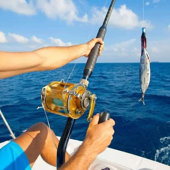 Alanya: Fishing Tour with Lunch and Hotel Transfers - Best Fit: Who Should Book This Alanya Fishing Trip