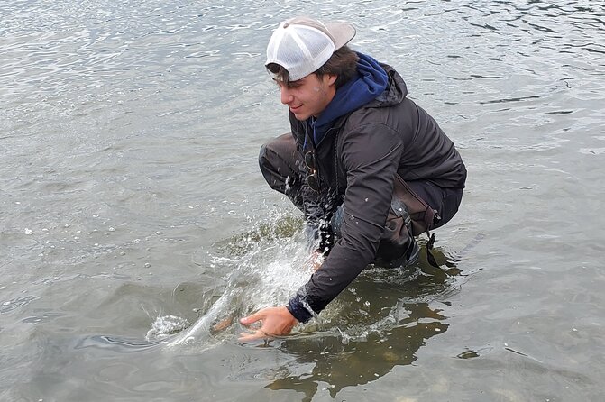 Alaskan Salmon 8-Hour Fishing Experience - Price and value: where the $379 lines up