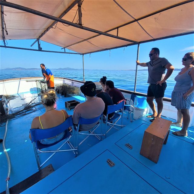 Alghero: Gulf of Alghero Fishing Boat Trip with Fresh Lunch - Who should book this Alghero fishing boat trip (and who might skip)