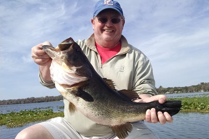 All Day Lake Toho Fishing Trip near Kissimmee - Wildlife From the Boat: Bald Eagles and Alligators in Plain Sight