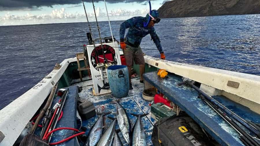 Ancestral fishing: Fishing with an experienced Rapa Nui - Meeting the Pacific: fishing method, snorkeling gear, and what to do if bites slow