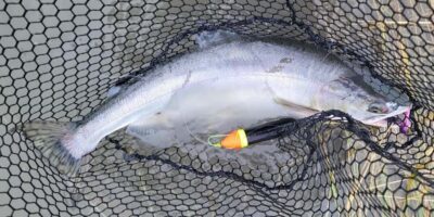 Anchorage: Full-day guided salmon fishing with Hotel Pickup - What’s included (and why that’s a big deal at $409)