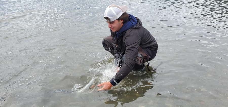 Anchorage: Full-day guided salmon fishing with Hotel Pickup - Weather, permitting, and the real limits of any salmon day