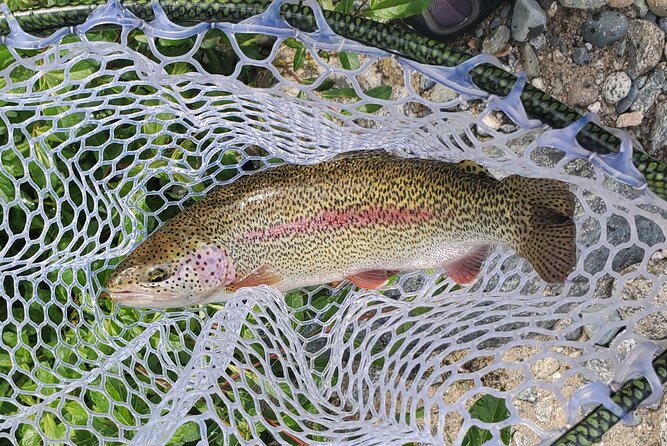 Anchorage Guided Fly-fishing with transportation - The 7:00 AM Start: Pickup, Gear, and Getting Set Up Right