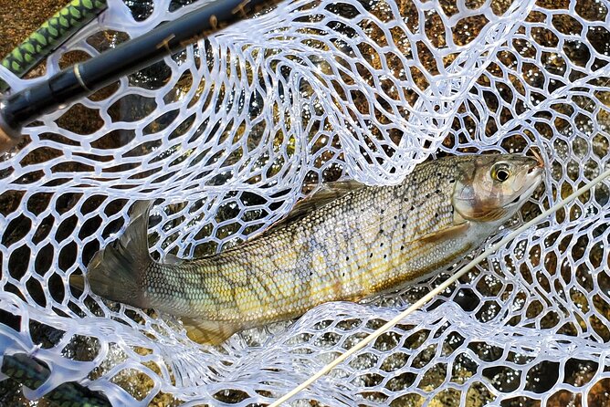 Anchorage Guided Fly-fishing with transportation - Fly-Fishing Basics That Actually Help You Hook Fish
