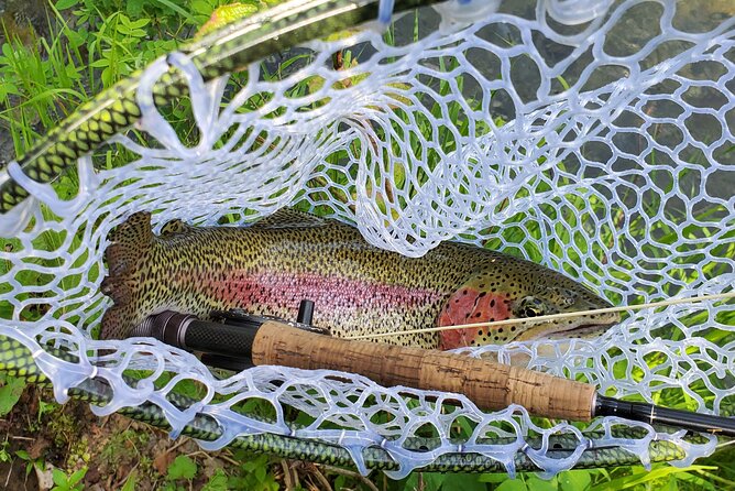 Anchorage Guided Fly-fishing with transportation - What the Best Day Looks Like (And What Could Limit Your Results)