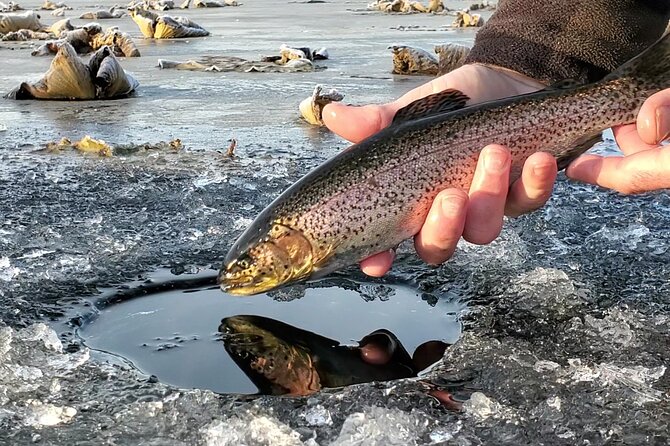 Anchorage Ice Fishing Adventure with transportation - Key highlights to notice before you go