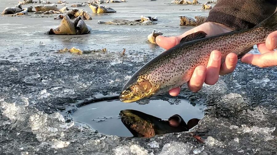 Anchorage: Ice Fishing Trip With Transportation - Key points before you go