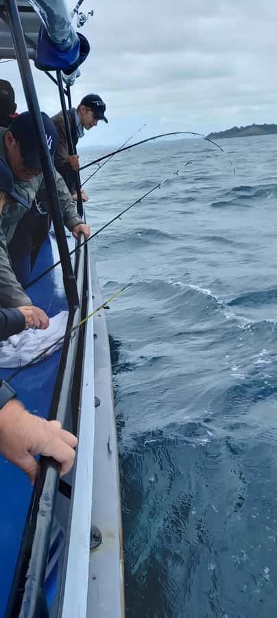 Auckland: Full-Day Fishing Charter (7 am - 4 pm) - The Gear Situation: Rod Hire, Bait, and Chilly Bin Reality