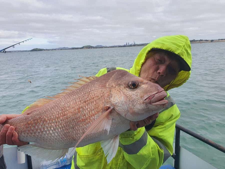 Auckland: Full-Day Fishing Charter (7 am - 4 pm) - Price and Value: Is $45 a Smart Deal for a Charter Day?