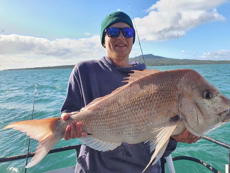 Auckland: Twilight Fishing Charter 5pm - 9:30pm - Why Auckland twilight fishing in the Hauraki Gulf works so well