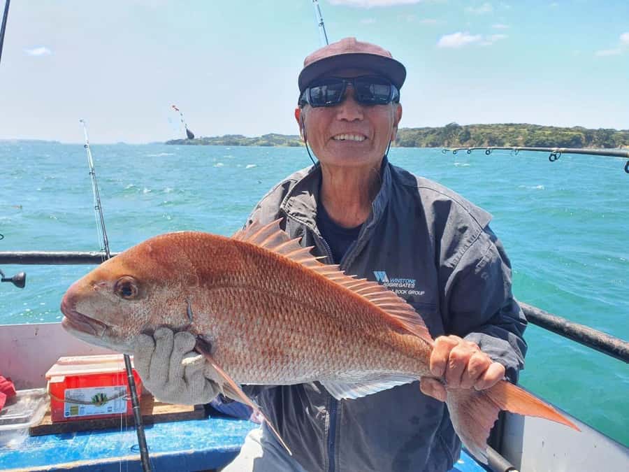 Auckland: Twilight Fishing Charter 5pm - 9:30pm - How to use 270 minutes without feeling dragged