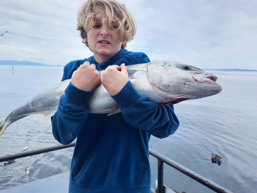 Auckland: Twilight Fishing Charter 5pm - 9:30pm - Price and value: is $40 per person a good deal?