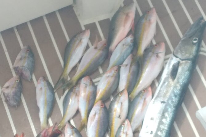 Bahamas Deep Sea Fishing - Nassau to the Deep Blue: How the 4-Hour Fishing Window Works