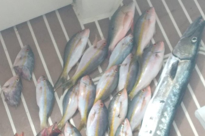 Bahamas Deep Sea Fishing - Boat Comfort and Included Perks: What You’ll Get for $1,500
