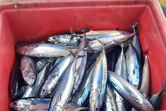 Bali: Fishing Charter Private Boat - Private Boat Fishing From Ubud: What You’re Really Buying