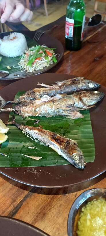 Bali : Fishing Trip & Blue lagoon Snorkeling : All Inclusive - Equipment and lunch: the all-inclusive parts that actually save you money