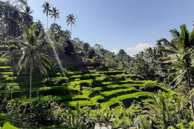 Bali Fishing Trip Private Boat - What to Bring and How to Stay Comfortable at Sea