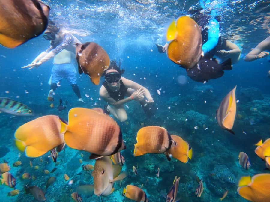 Bali Full Day Trip Fishing, Snorkeling,Eat in Candidasa - Fishing in Candi Dasa waters: what you’re really signing up for