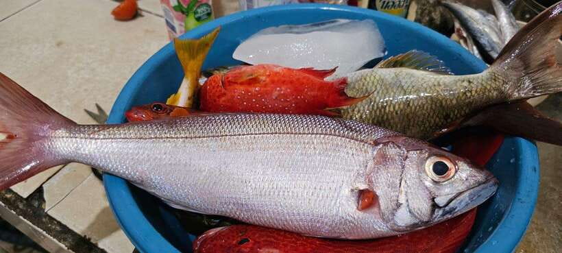 Bali: Private Fishing Trip with Lunch - Lunch with your catch: Balinese spices plus real freshness