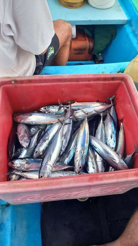 Bali: Private Fishing Trip with Lunch - Meeting your captain and learning the gear (without the stress)