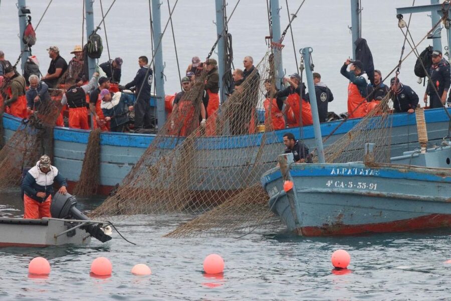 Barbate: Boat Tour to the Almadraba of Conil (Tuna Fishing) - Key highlights you’ll care about