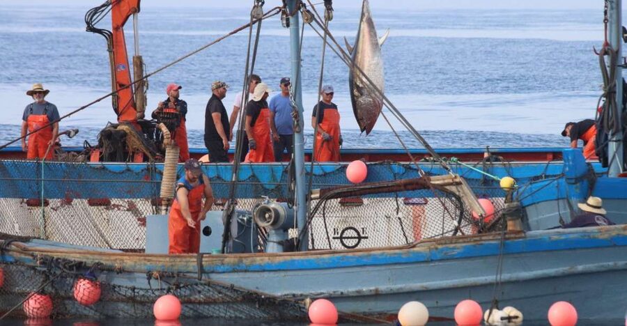 Barbate: Boat Tour to the Almadraba of Conil (Tuna Fishing) - Almadraba basics: nets, anchors, and the “labyrinth” idea