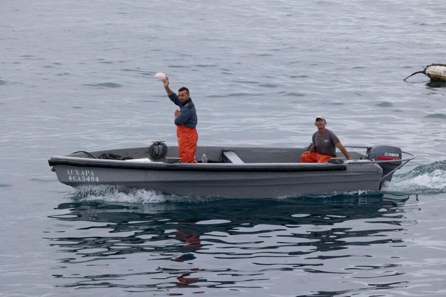 Barbate: Boat Tour to the Almadraba of Conil (Tuna Fishing) - Positioning for the haul: why being 100 meters out matters