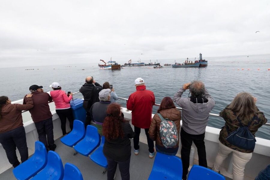 Barbate: Boat Tour to the Almadraba of Conil (Tuna Fishing) - Food on board: coffee and pastries out, tuna tasting back