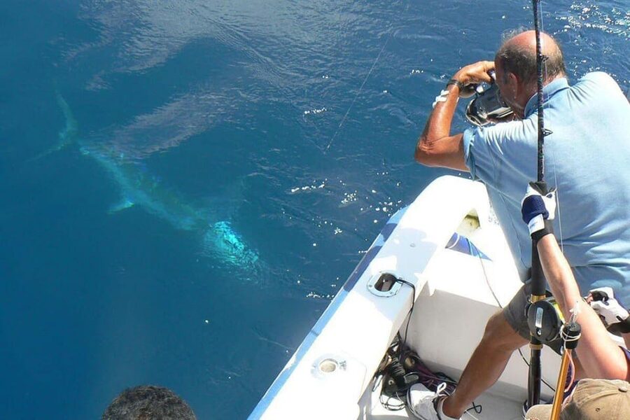 Barcelona: Coastal Fishing Trip - Key things to know on a Barcelona coastal fishing trip