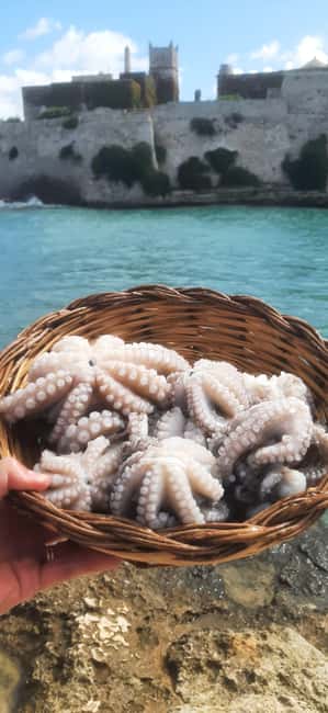 Bari: Fishing experience aboard an authentic fishing boat - Bari Old Port: Meeting the Gozzovigliando by Teatro Margherita