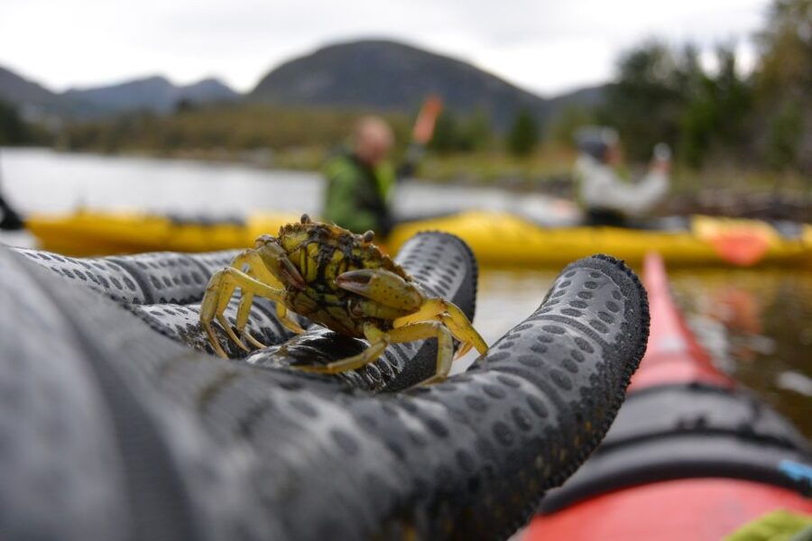 Bergen: Guided Fishing Tour with Outdoor Cooking - Small-group size: why max 8 changes the experience