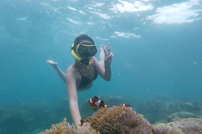 Bintan Island Snorkeling, Kayaking and Fun Fishing Activity - Key details worth knowing