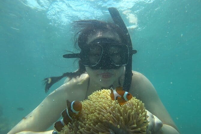 Bintan Island Snorkeling, Kayaking and Fun Fishing Activity - Kayaking: trading fin strokes for a slower pace