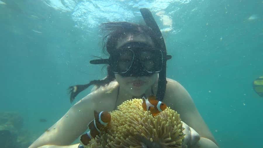 Bintan Snorkeling - Kayaking - Fun Fishing - Water Activity - The snorkeling plan: Nemo, sea urchins, and reef habitat at different spots