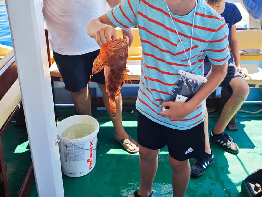 Biograd: Authentic Family friendly Fishing tour in Croatia. - The real work: preparing, setting, and pulling the longline