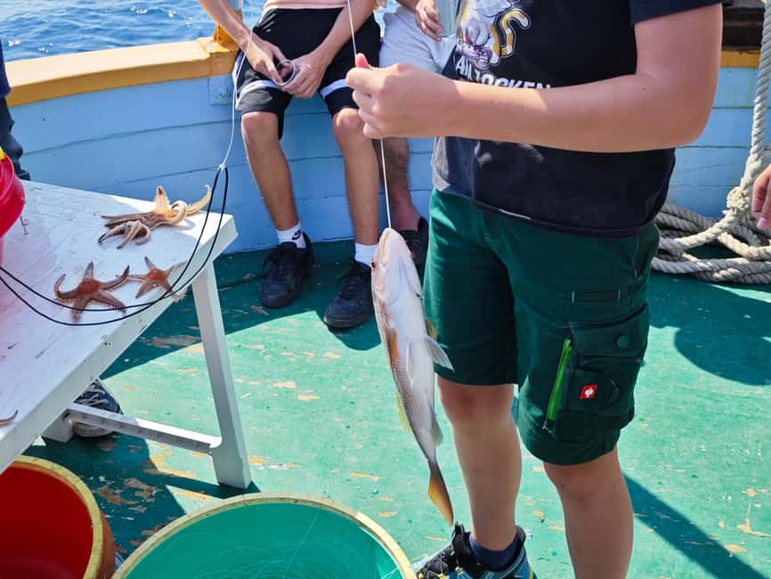 Biograd: Authentic Family friendly Fishing tour in Croatia. - Vrgada island time: sightseeing, swimming, and the good kind of downtime
