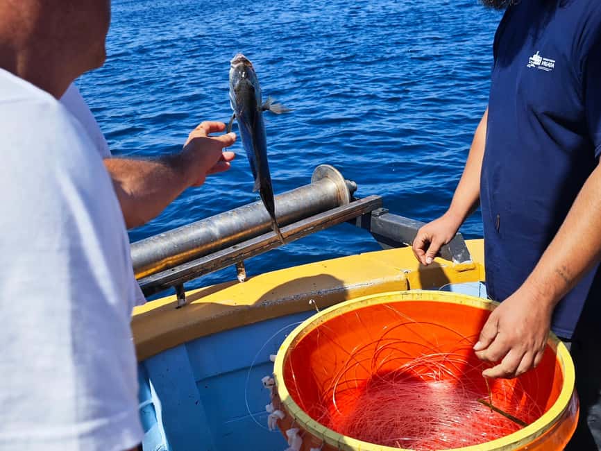 Biograd: Authentic Family friendly Fishing tour in Croatia. - What $70 gets you on a 9-hour boat day (and what costs extra)