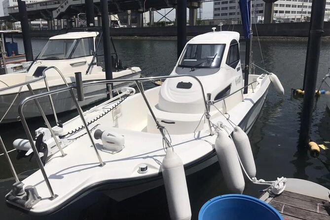 Boat Fishing Activity in Central Tokyo - Gear and transportation: decide based on what you want included