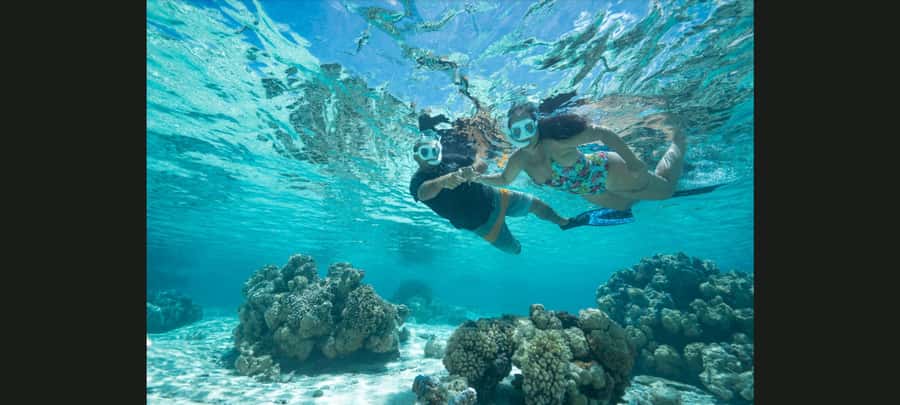 Bora Bora: Snorkeling and Fishing Tour with Lunch Option - First, the vibe: why Bora Bora works so well for this kind of outing