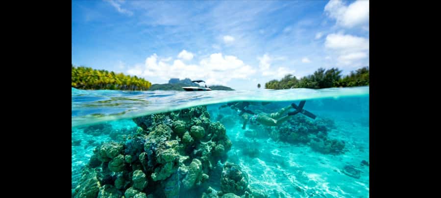 Bora Bora: Snorkeling and Fishing Tour with Lunch Option - Getting to the boat: hotel pickup, the black-and-white Bayliner, and dock details