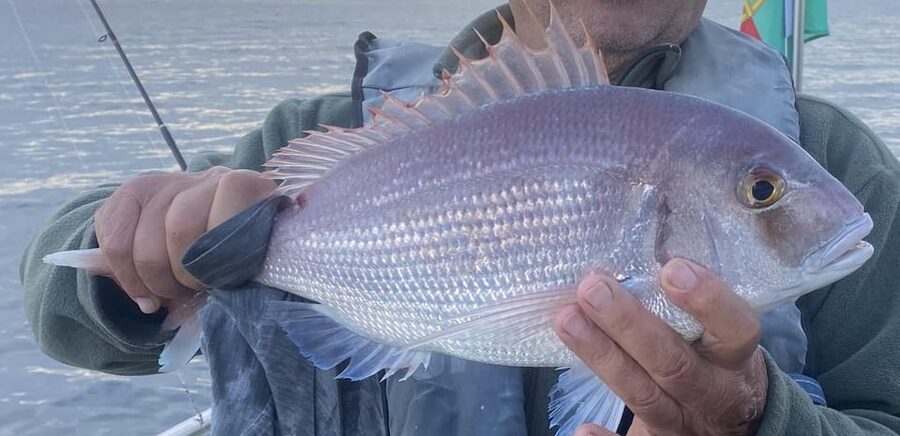 Bottom Fishing Lagos - Bottom fishing in Lagos: why the setup feels friendly for first-timers