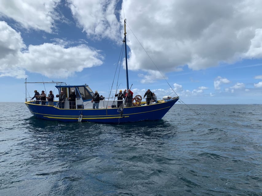 Bottom Fishing Lagos - Should you book Bottom Fishing Lagos with Costa D’oiro Passeios Marítimos?