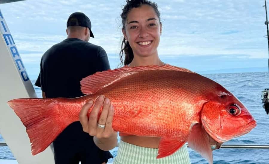 Cairns: Great Barrier Reef Fishing Charter with Lunch - Key points before you go