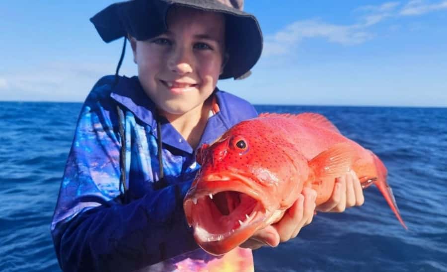 Cairns: Great Barrier Reef Fishing Charter with Lunch - Cairns to the reef: what the day actually feels like