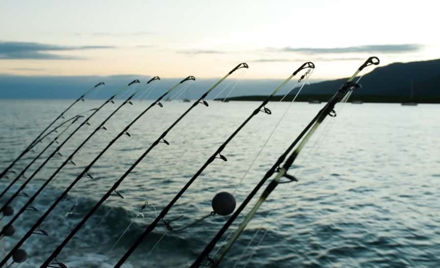 Cairns: Great Barrier Reef Fishing Charter with Lunch - What stands out from real-world experiences