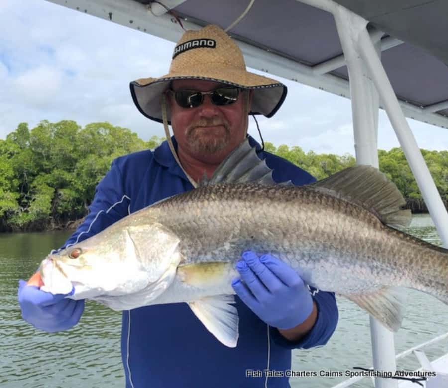 Cairns: Morning Estuary Fishing Charter - Key highlights you’ll care about